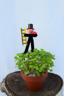 Haller Blumen GmbH