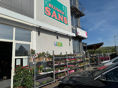 Blumen Sans