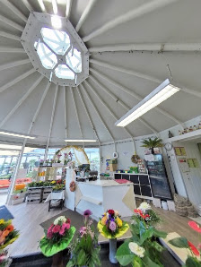 Schneider Flowers & Plants