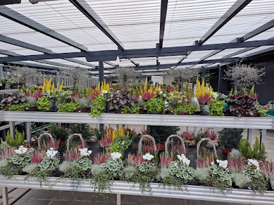 Schneider Flowers & Plants