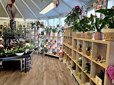 Schneider Flowers & Plants