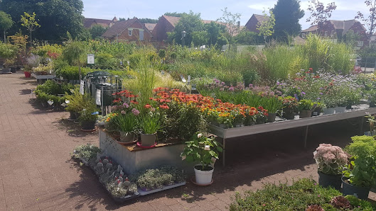 Welter Blumen und Pflanzen Michelstdt, Gartencenter