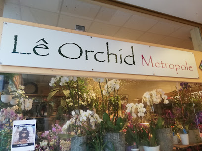 Le Orchid UG
