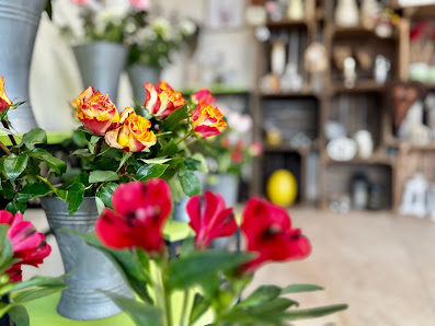 Vergissmeinnicht Geisenheim | Blumen und mehr