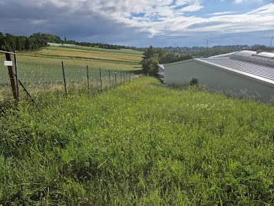 Garten u. Landschaftspflege Patrick Lossa