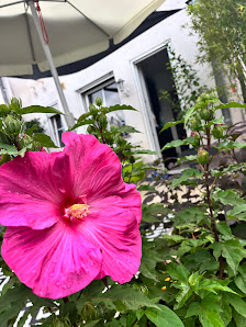 Gartenservice Isbrandt