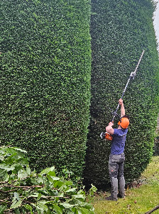 Baum- und Gartenpflege Frings