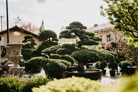 Fischer Gartenkultur