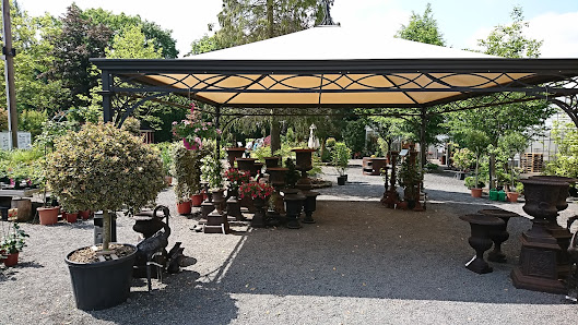 Fischer Gartenkultur