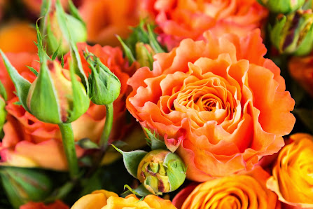 Florales Ambiente