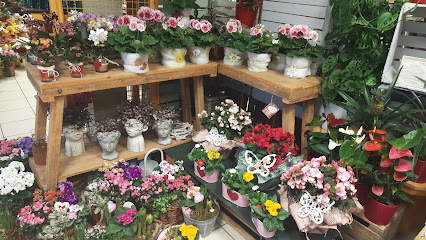 Blumen Schwisow GmbH &Co.KG