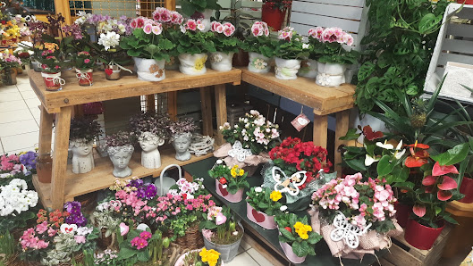 Blumen Schwisow GmbH &Co.KG
