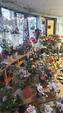 Blumen Schwisow GmbH &Co.KG