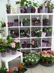 Klimmer Floris Tine Blumen