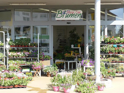Klimmer Floris Tine Blumen