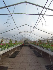 Blumen Schwisow GmbH & Co.KG