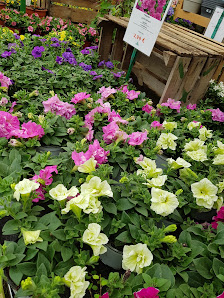 Gartencenter Meckelburg