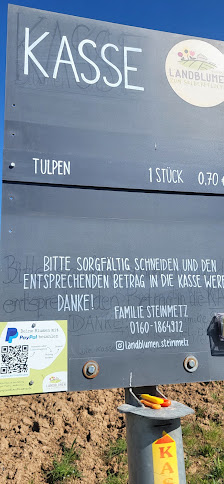 Blumenfeld Werkel Blumen zum Selbstpflücken Landblumen Steinmetz
