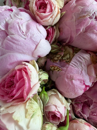 Blumen Haus