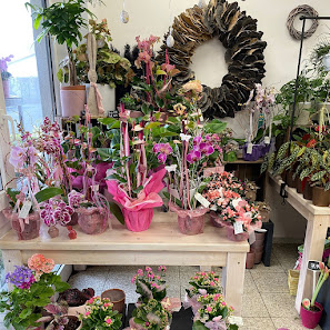 Blumen Edelweiß Schlitz