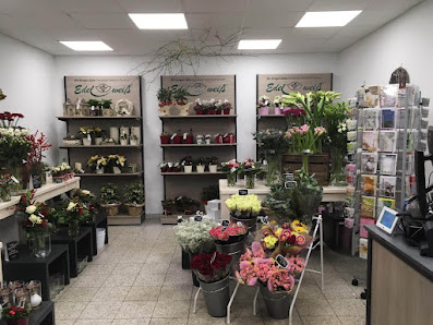 Blumen Edelweiß Schlitz