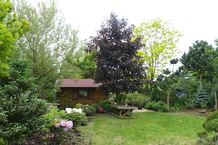 Gartenbau Pfannstiel