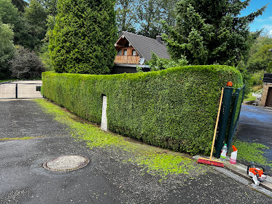 Bräuning - Gartenpflege und Galabau