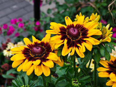 Blumenschmiede