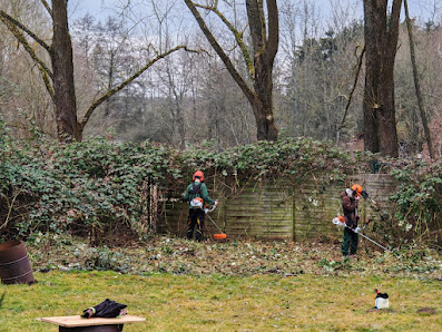 Brüder im Grünen Garten- und Landschaftspflege