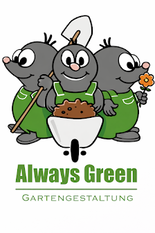 Always Green Gartengestaltung