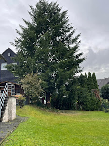 LWForst & Gartenservice GmbH