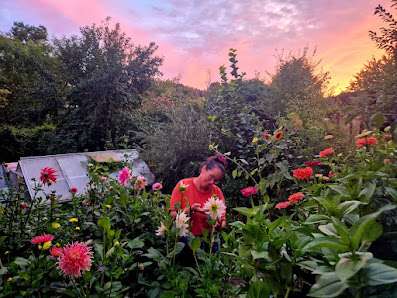 Zuhause im Garten - Schnittblumen