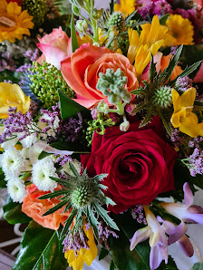 Penske Floristik