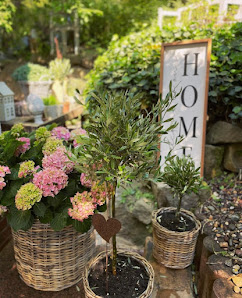 BilderBUCHgarten Niederaula Gärtnerei Floristik Café Garten-und Landschaftsbau Landschaftsgärtner