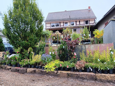Pflanzen & Gartenbau Wenk
