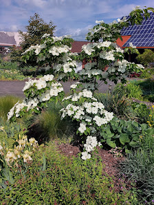 Tim Kubitza Gartengestaltung