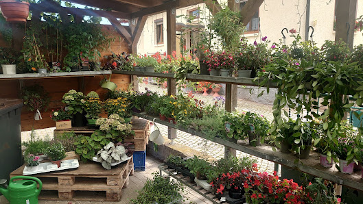 Corinna’s Blumen und Futtermittel- Oase