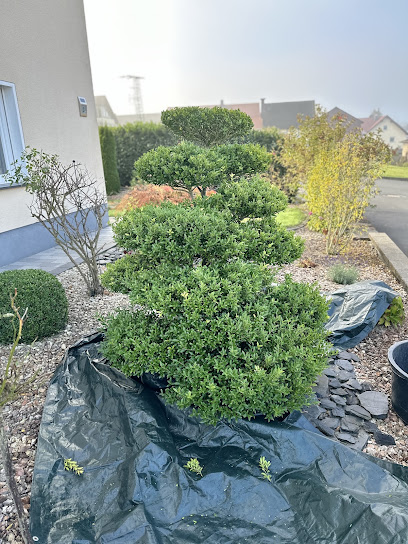 Anton‘s Gartenpflege
