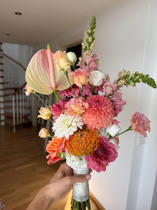 Belflair - Blumen aus Meisterhand