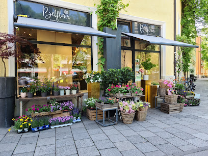 Belflair - Blumen aus Meisterhand