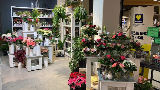 Blumen Edelweiß Guxhagen