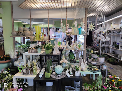 Blumenstudio P. Graute GmbH