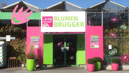 Blumen Brügger