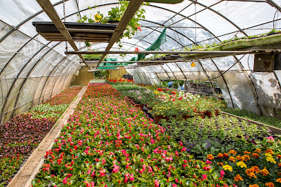Blumengeschäft