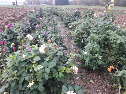 Blumengeschäft