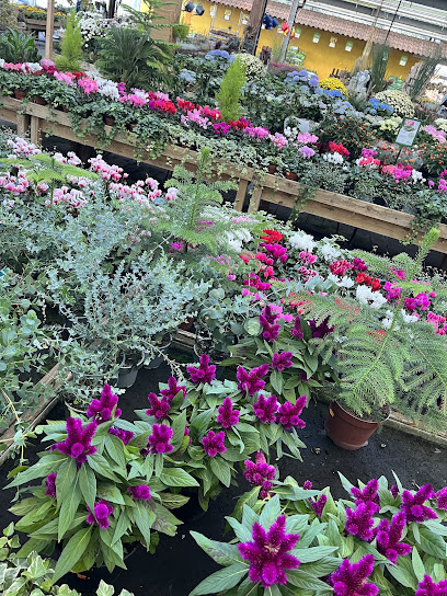 Gartencenter