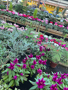 Gartencenter Meckelburg