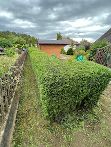 Gartenpflege Jonas Freudenstein