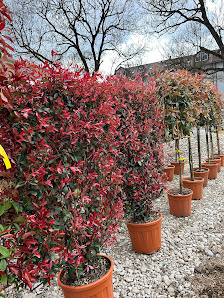 Gartenbau Mazza
