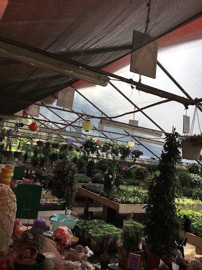 Gartenbau Mazza